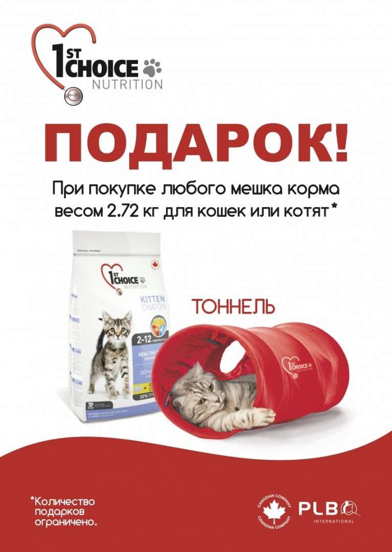 Купить Корм В Онлайн Трейд