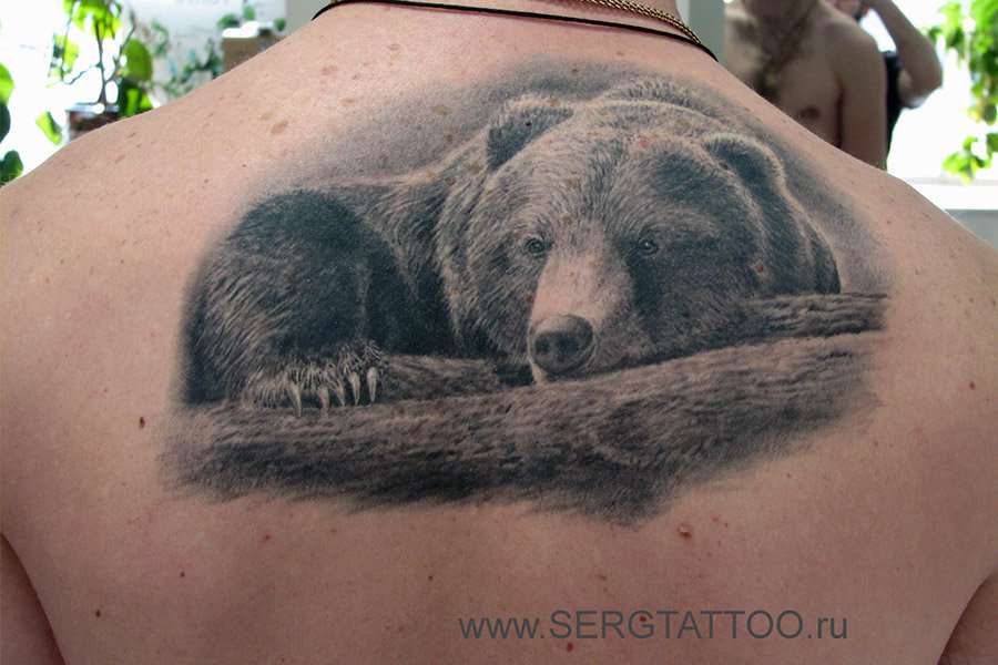 Тату русский медведь